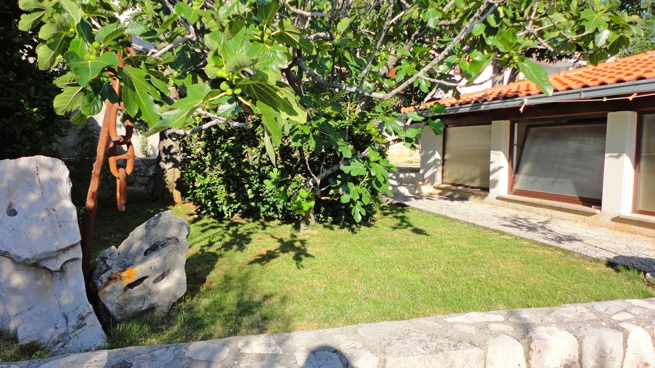 Photo of Outdoor in Krk