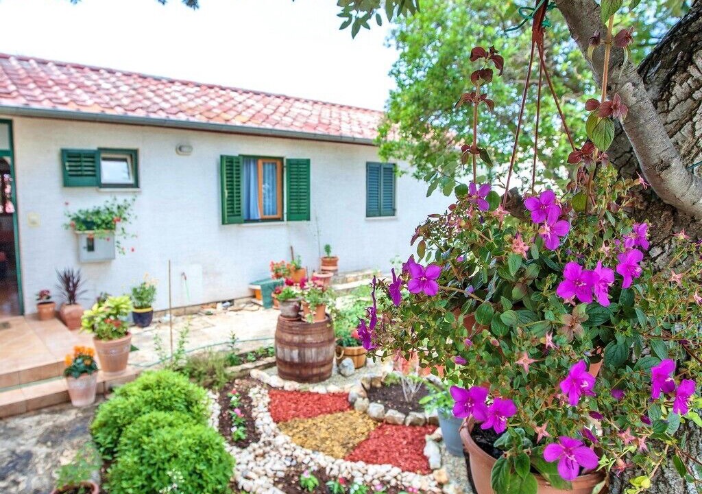 Photo of Outdoor in Petrcane