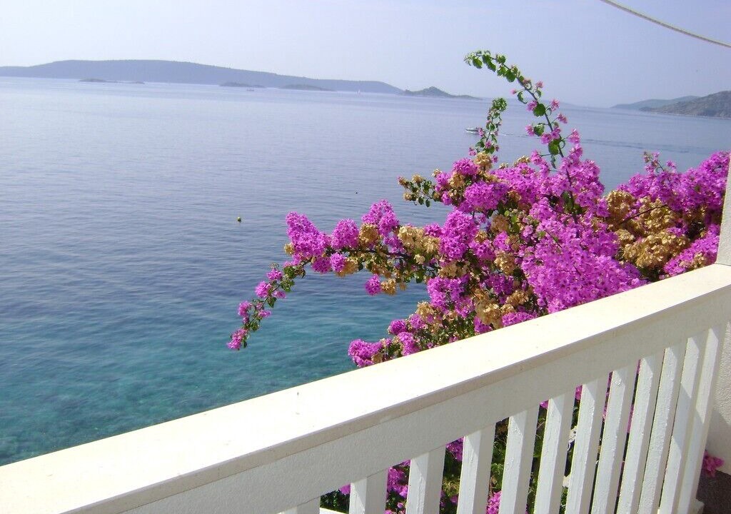Photo of Outdoor in Okrug Donji