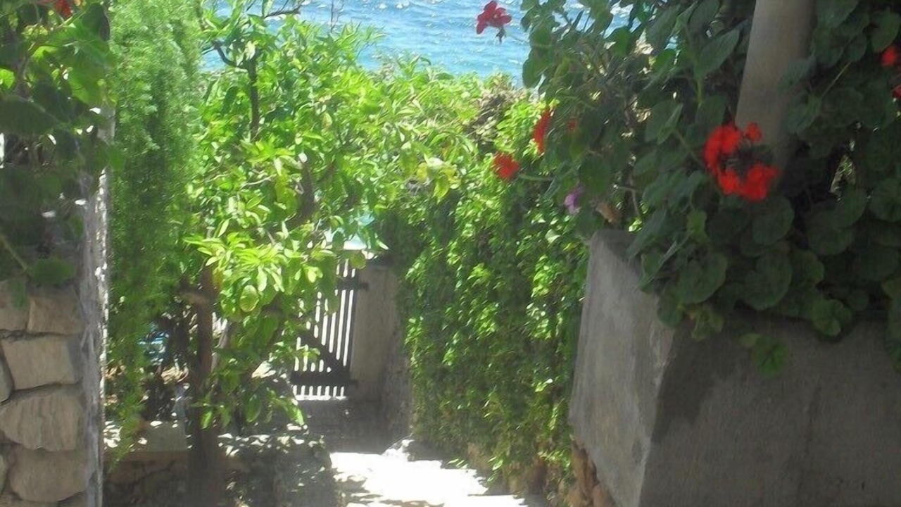 Photo of Outdoor in Okrug Donji