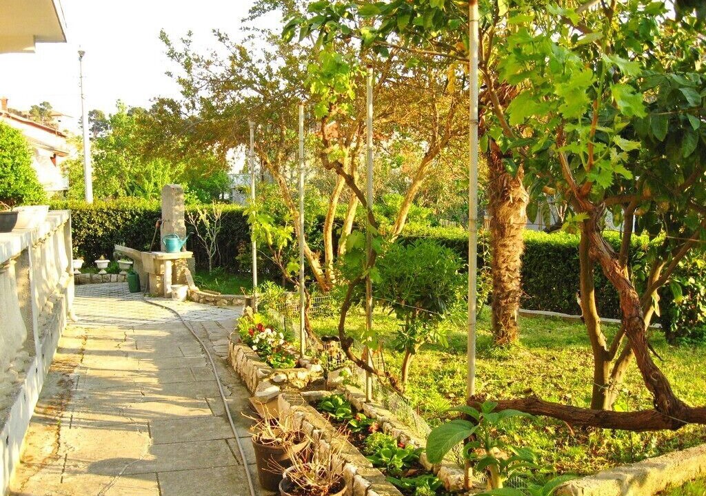 Photo of Outdoor in Palit