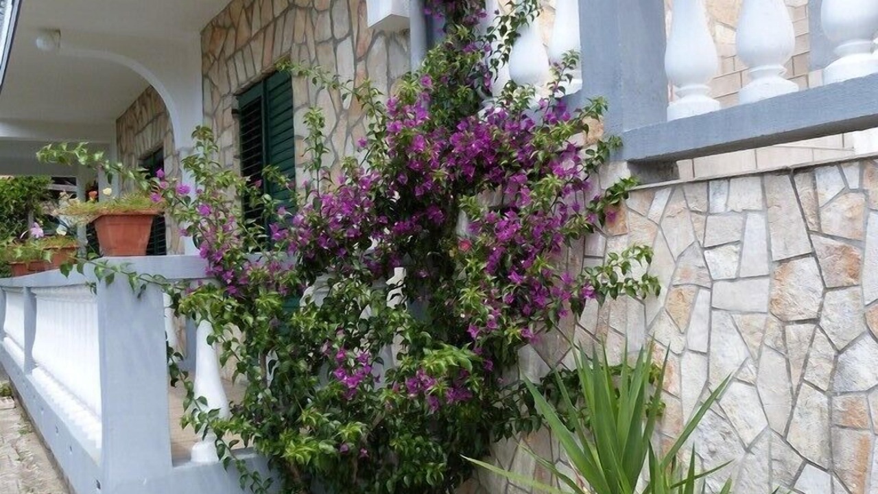 Photo of Outdoor in Palit