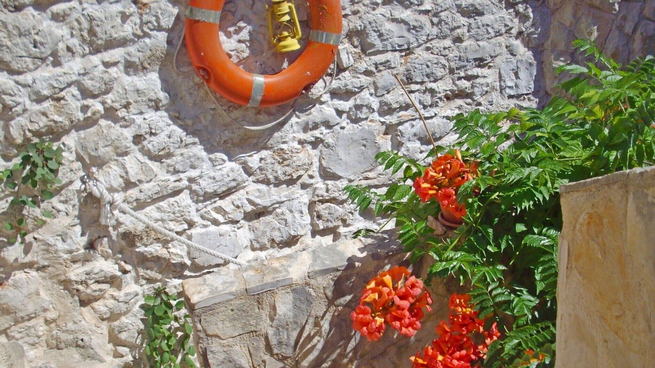 Photo of Outdoor in Susica
