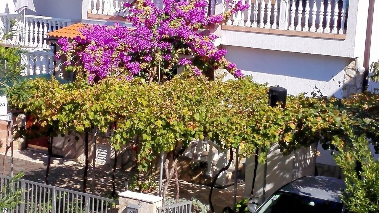 Photo of Outdoor in Susica