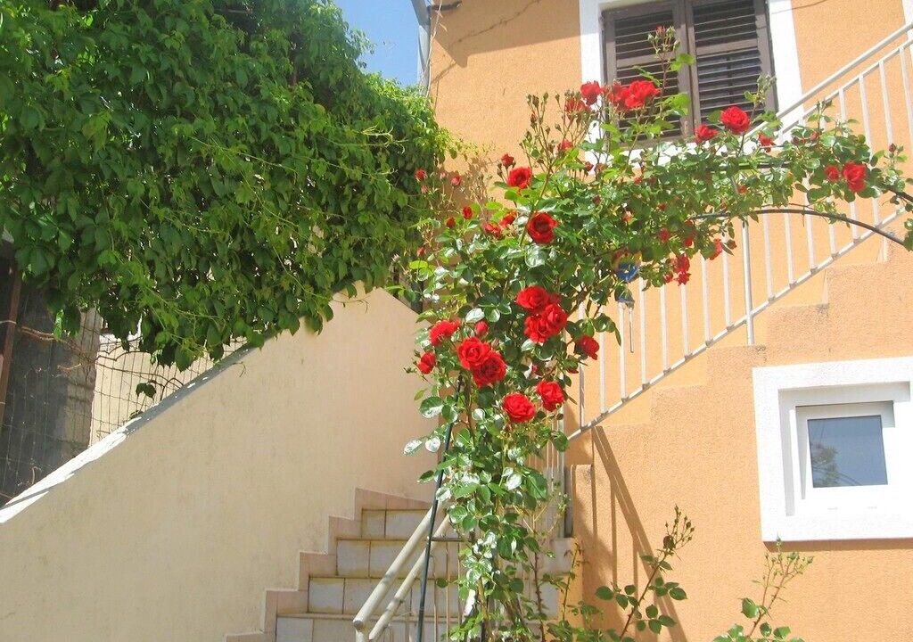 Photo of Outdoor in Prvic Luka