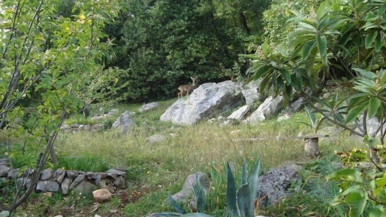 Photo of Outdoor in Icici