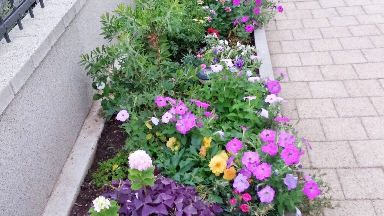 Photo of Outdoor in Grebastica