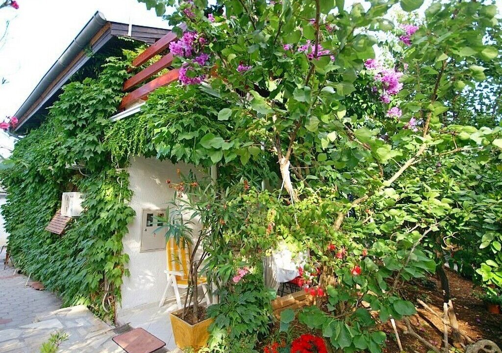 Photo of Outdoor in Petrcane