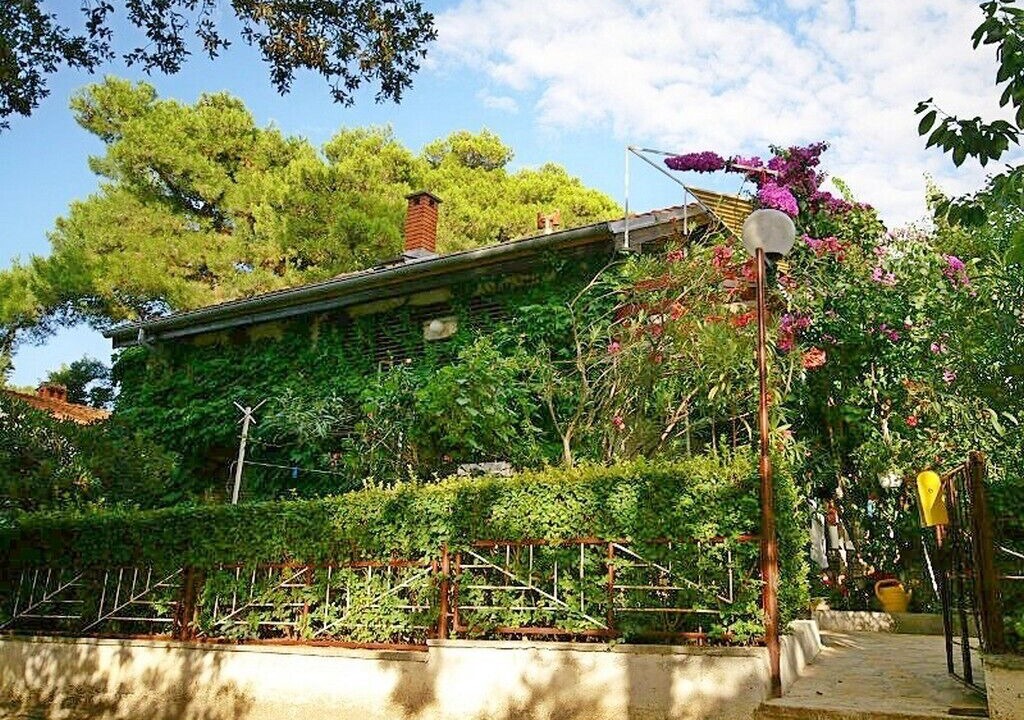 Photo of Outdoor in Petrcane