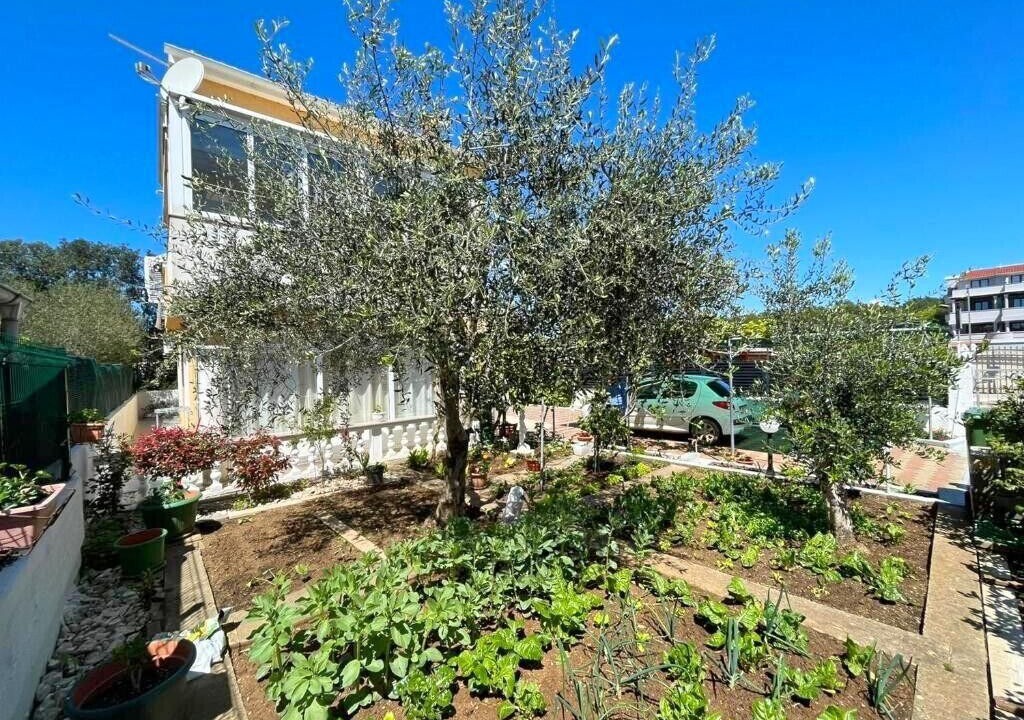 Photo of Outdoor in Kozino