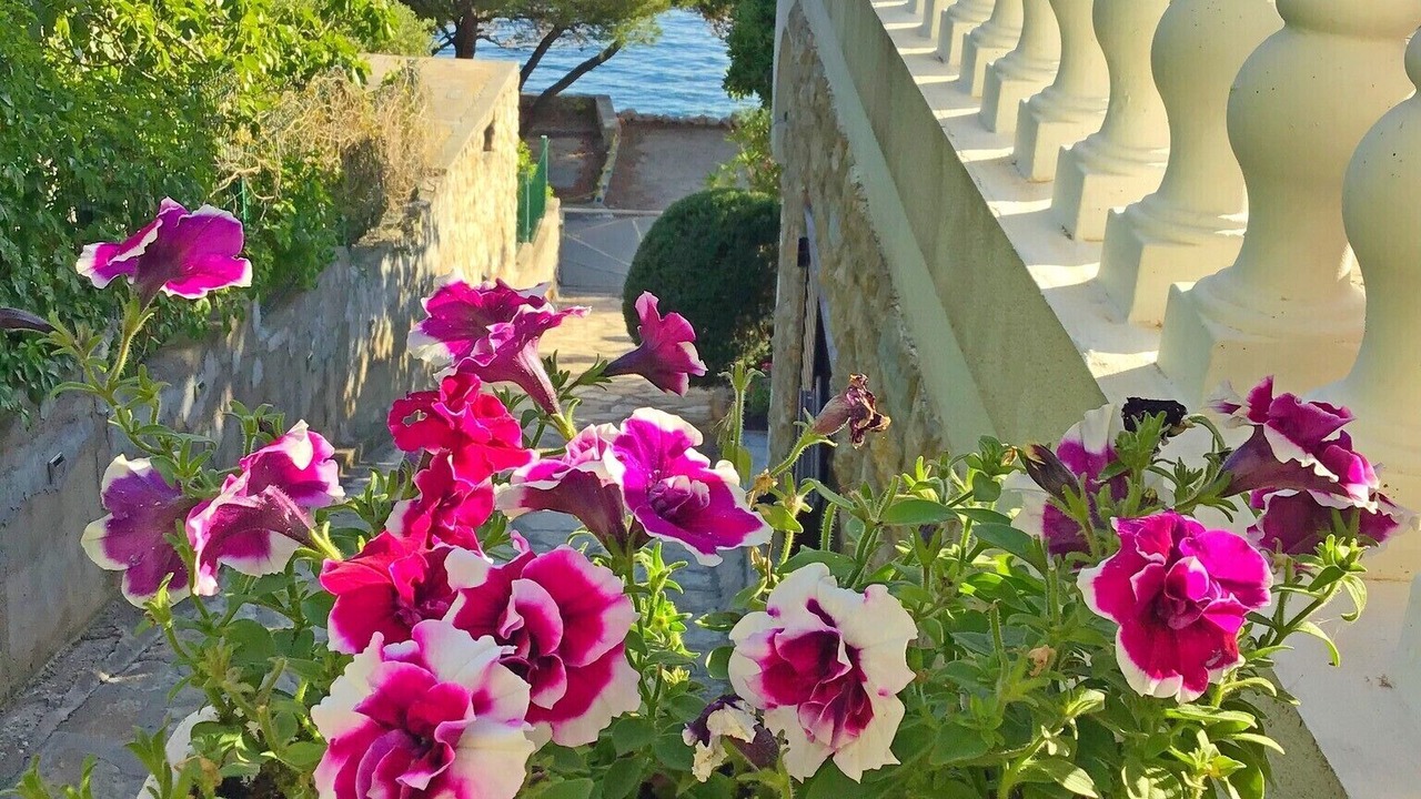 Photo of Outdoor in Susica