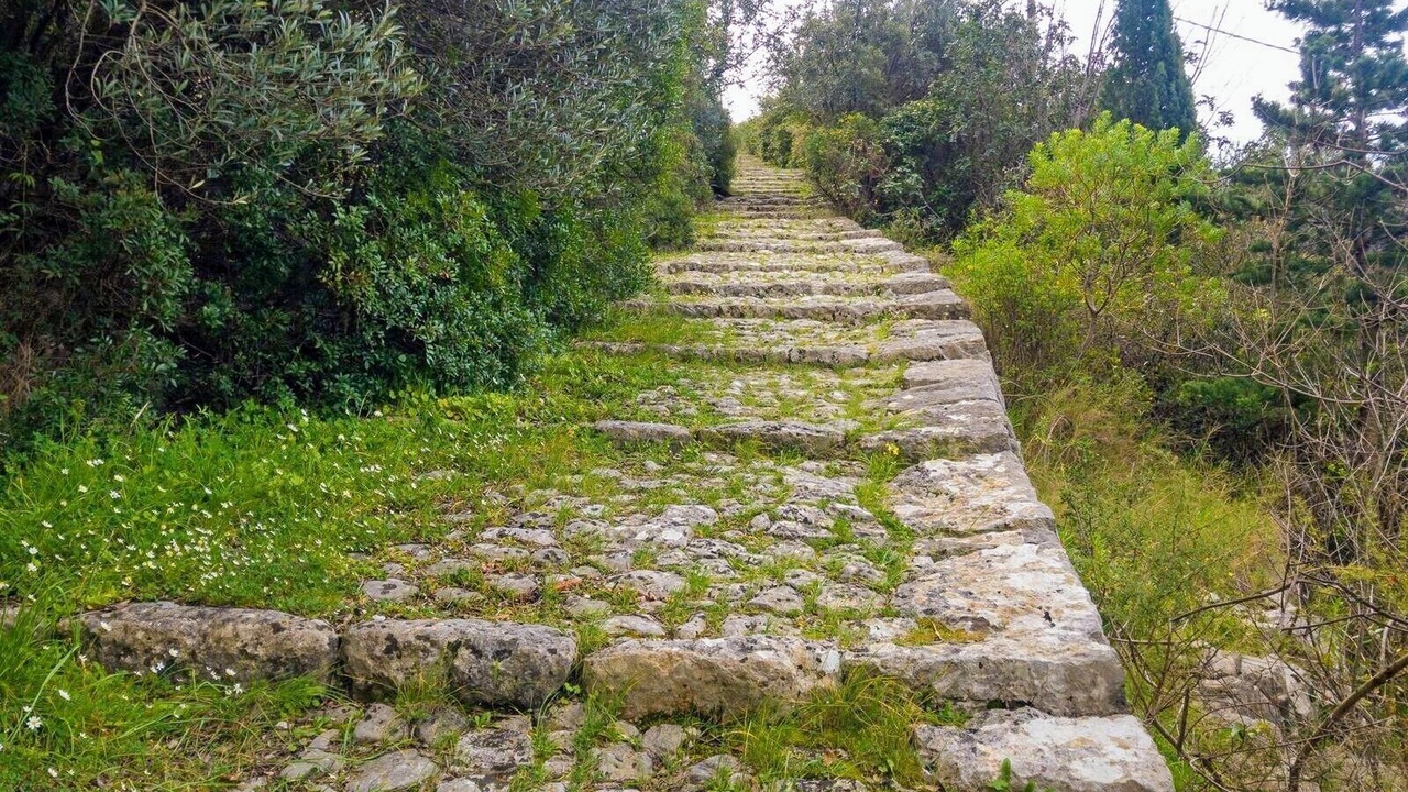 Photo of Outdoor in Brsecine