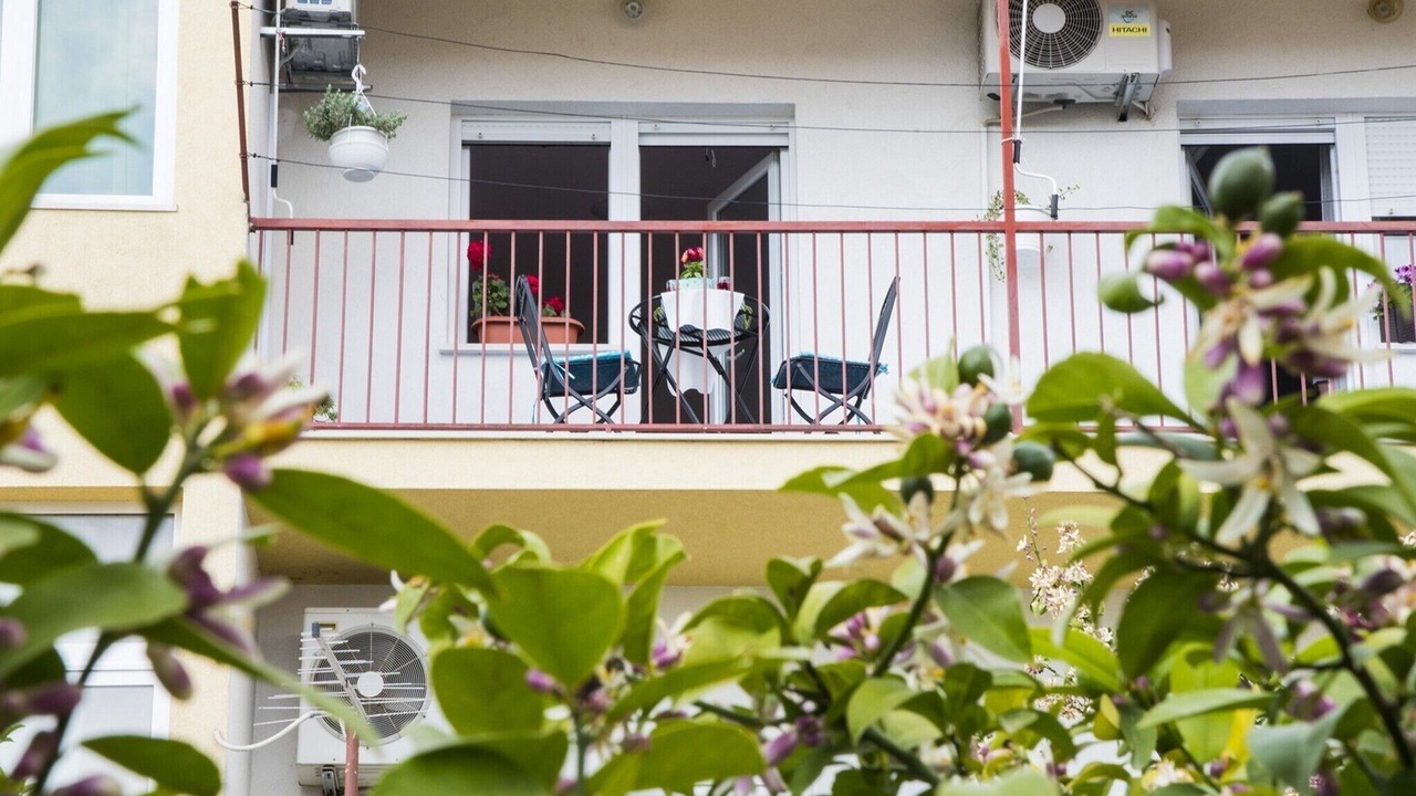 Photo of Outdoor in Mejasi