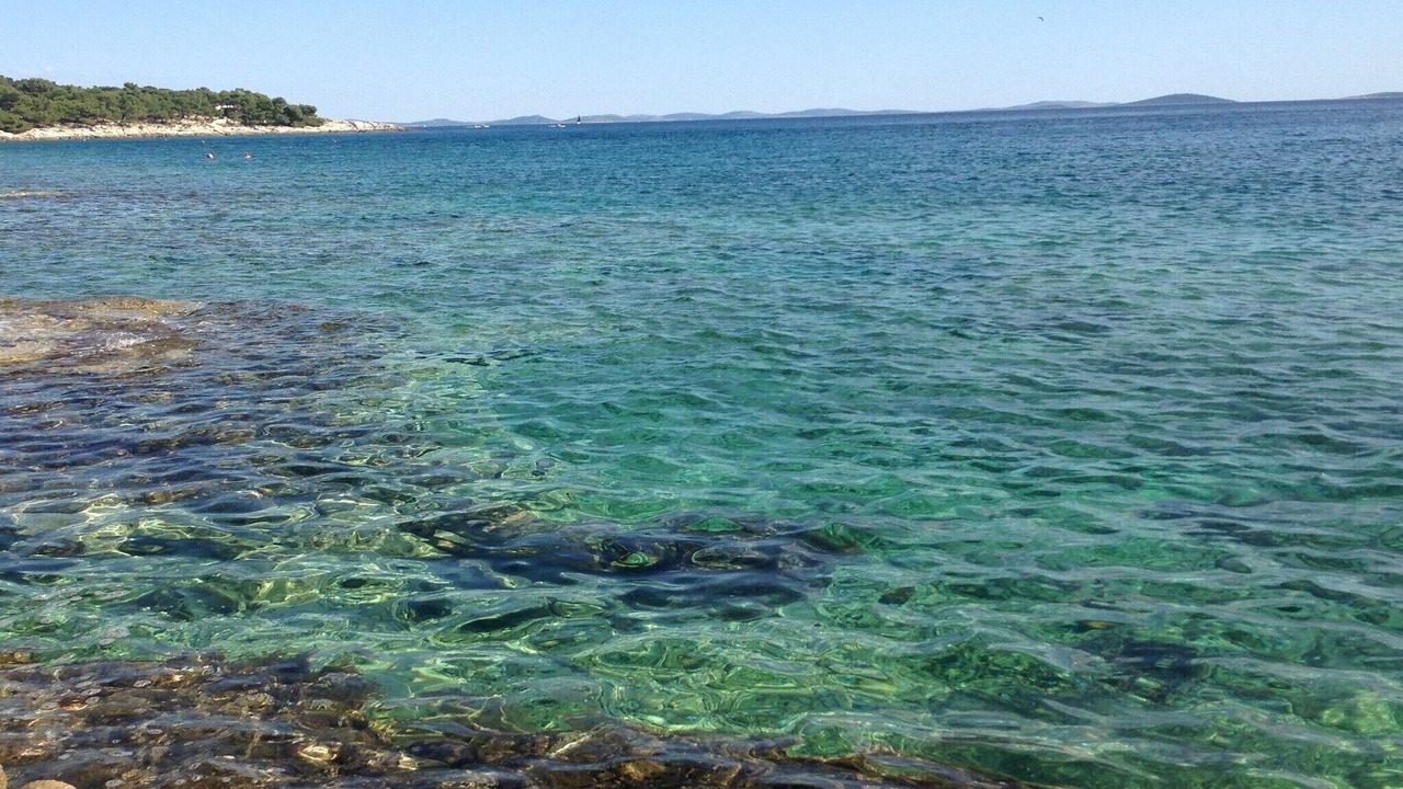 Photo of Others in Susica