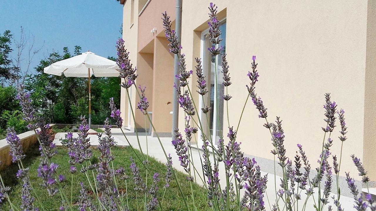 Photo of Outdoor in Nin