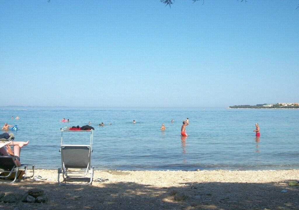 Photo of Others in Petrcane