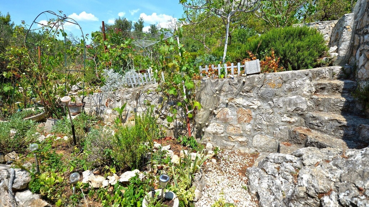 Photo of Outdoor in Susica