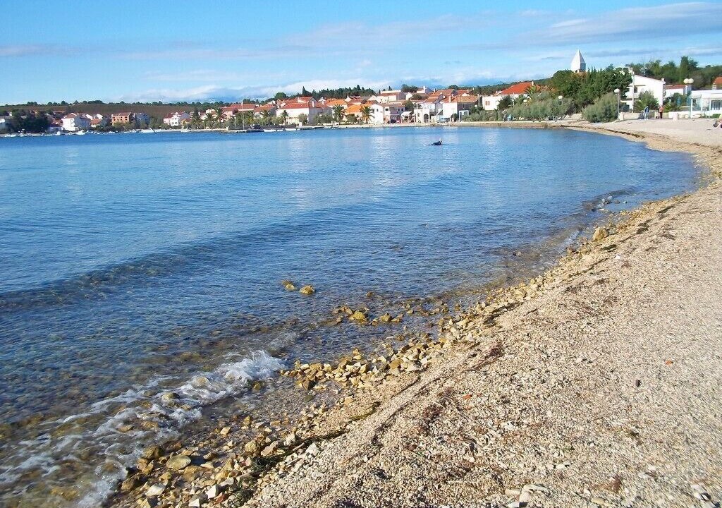 Photo of Others in Petrcane