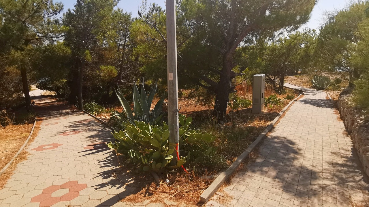 Photo of Outdoor in Vidalici