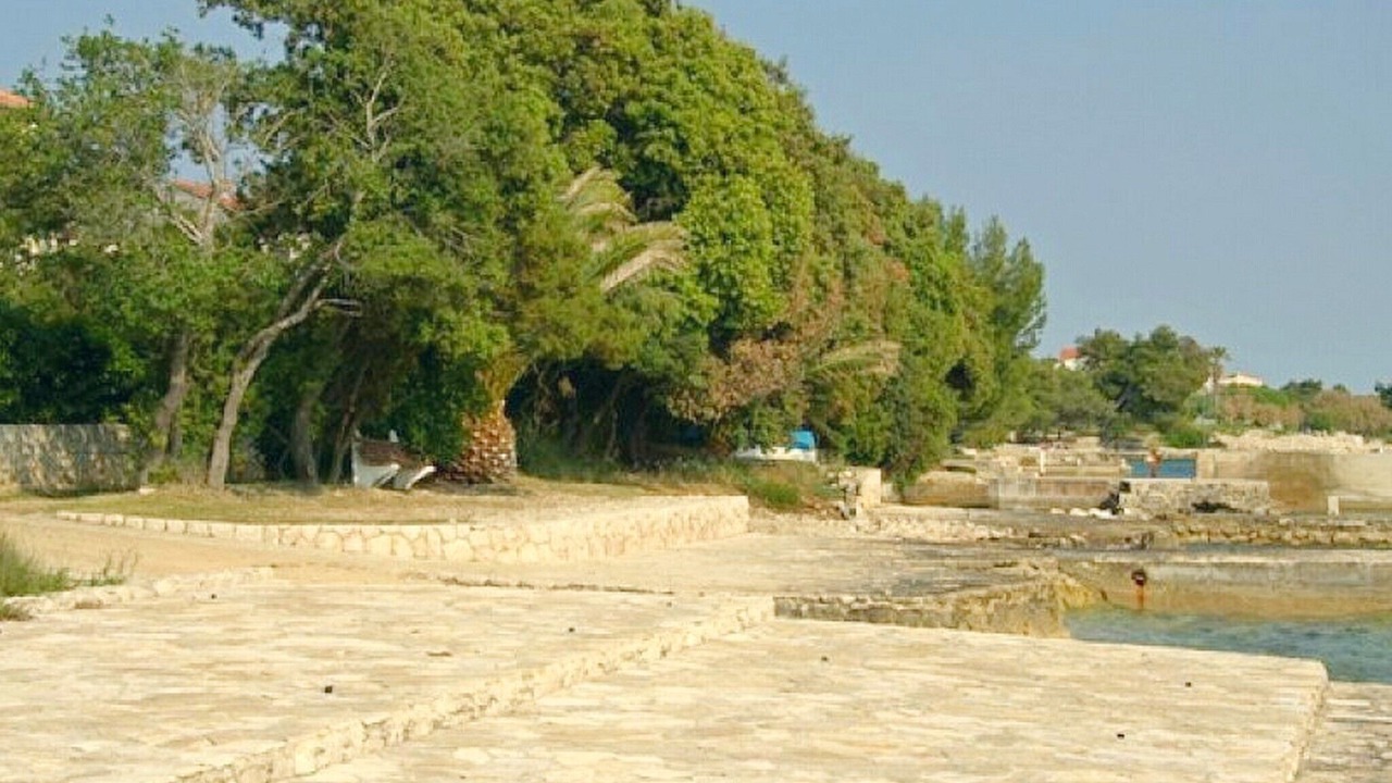 Photo of Others in Kozino