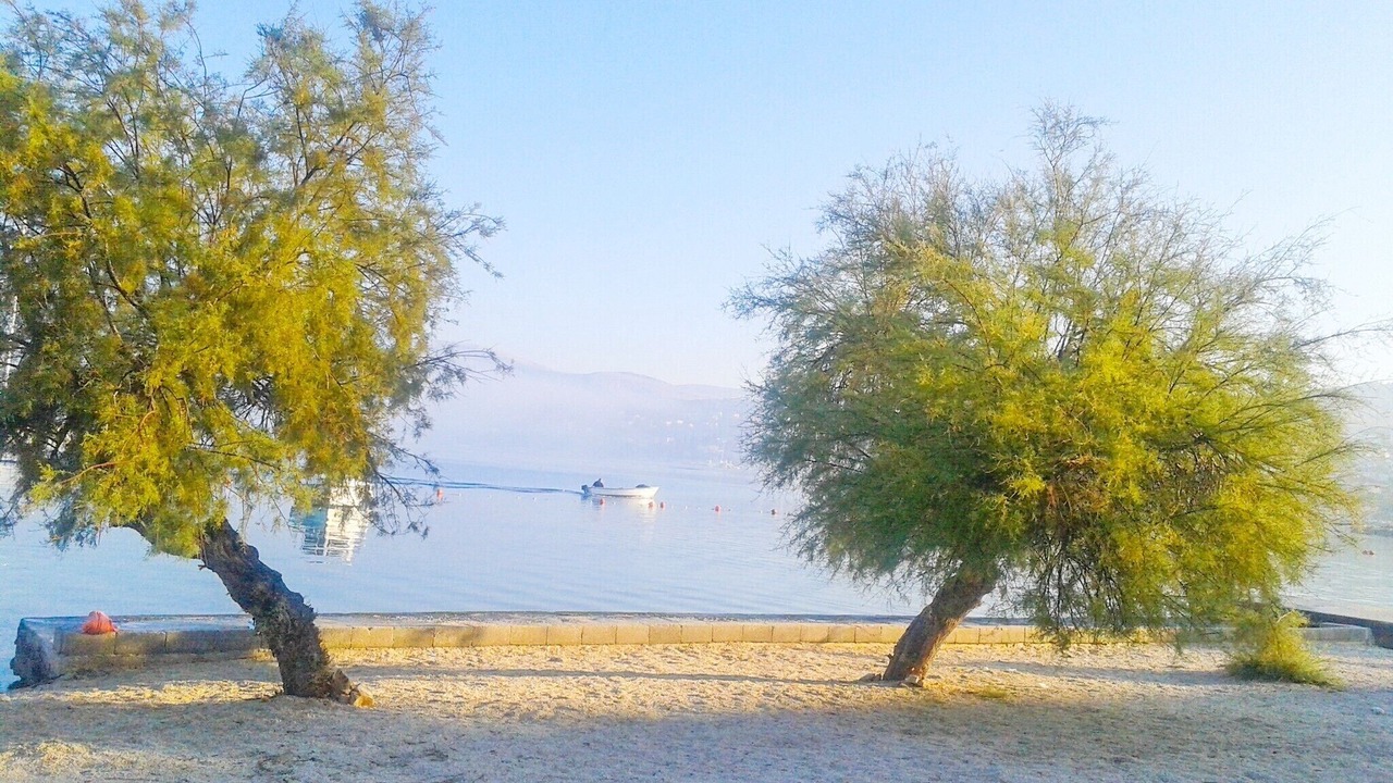 Photo of Others in Okrug Gornji