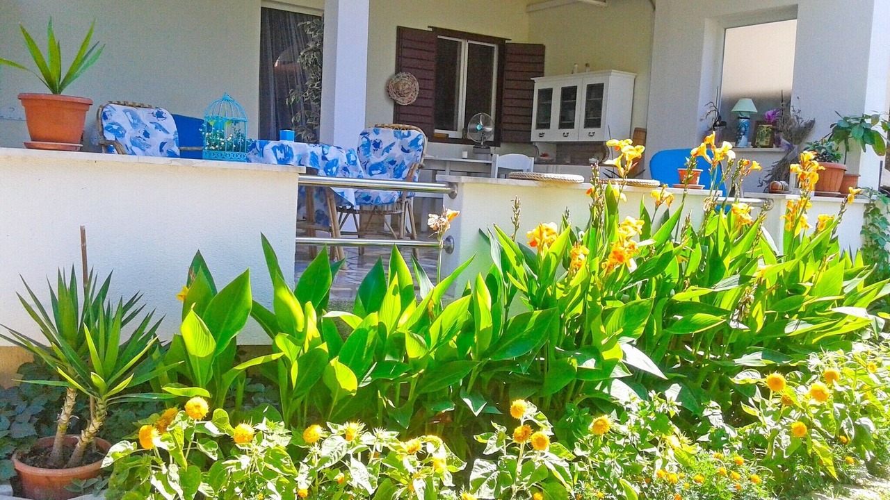 Photo of Outdoor in Okrug Gornji