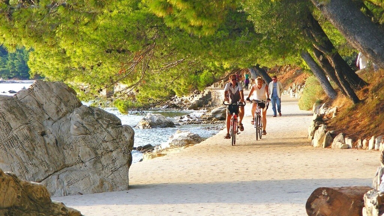 Photo of Others in Palit