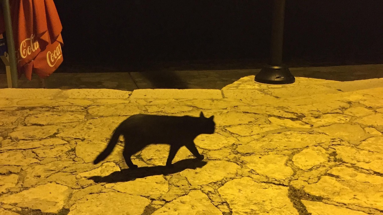 Photo of Others in Umag