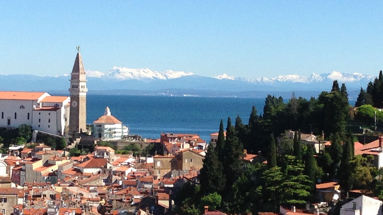 Photo of Others in Piran