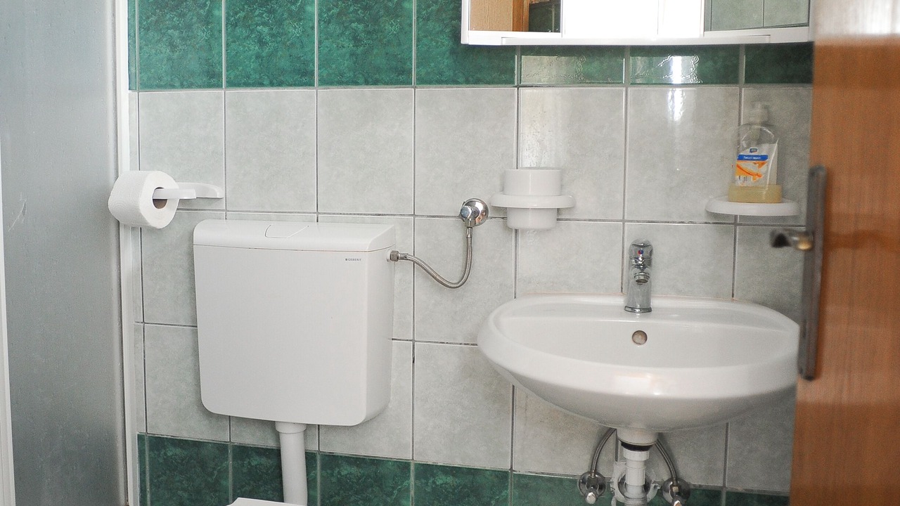 Photo of Bathroom in Caska