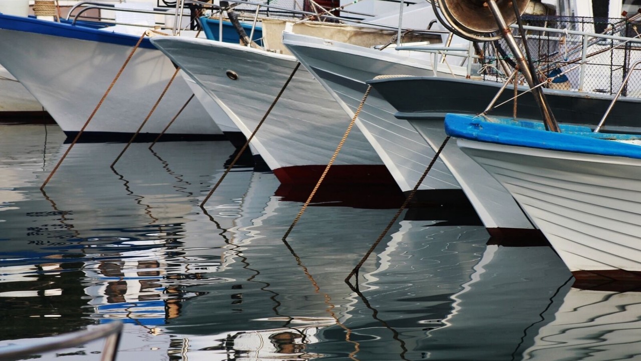 Photo of Others in Novigrad