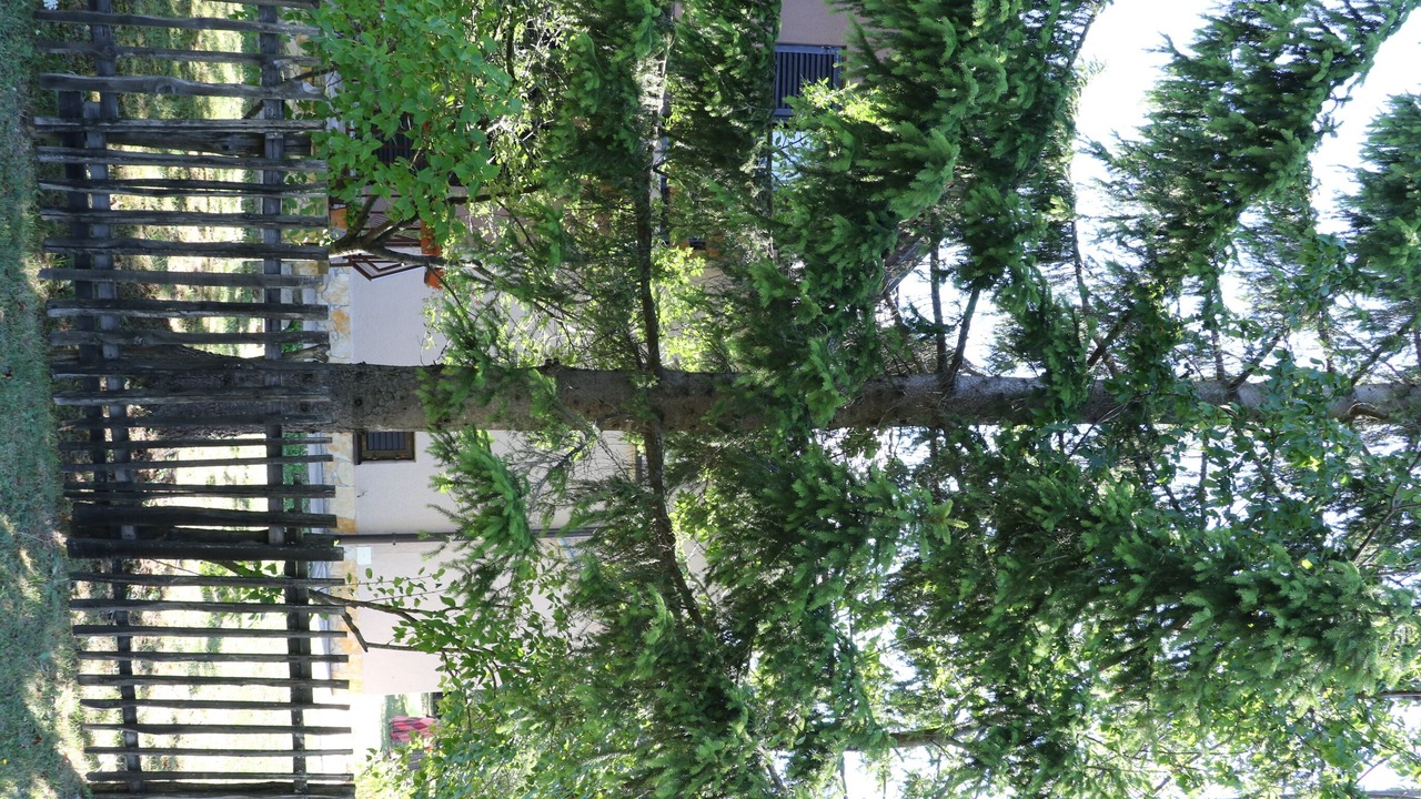 Photo of Outdoor in Rudanovac