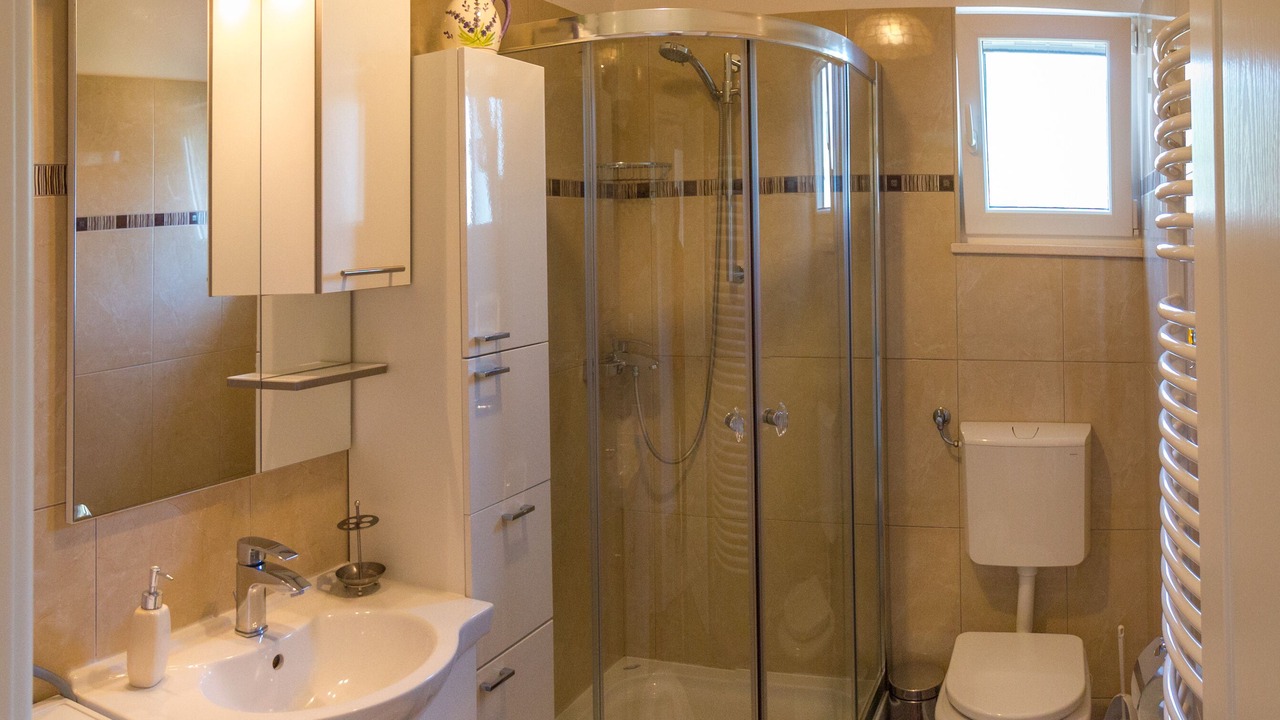 Photo of Bathroom in Zvecanje