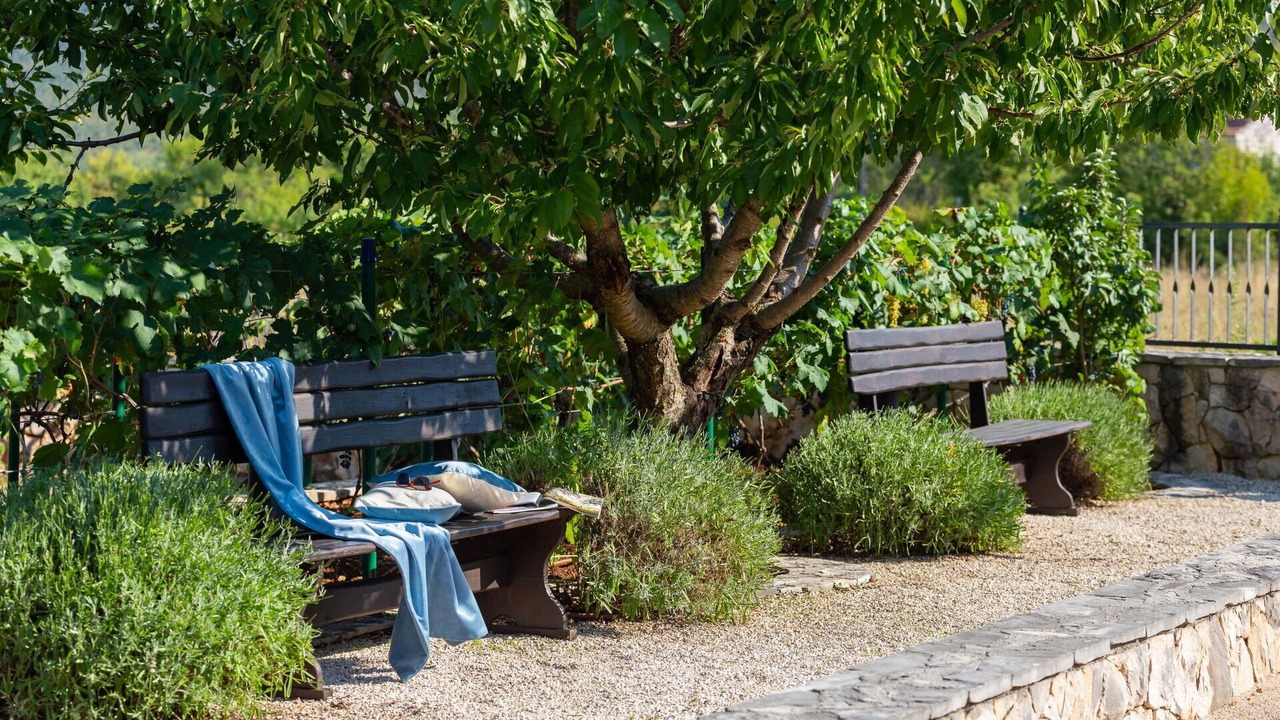 Photo of Outdoor in Bristivica