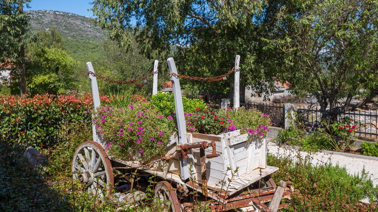 Photo of Others in Bristivica