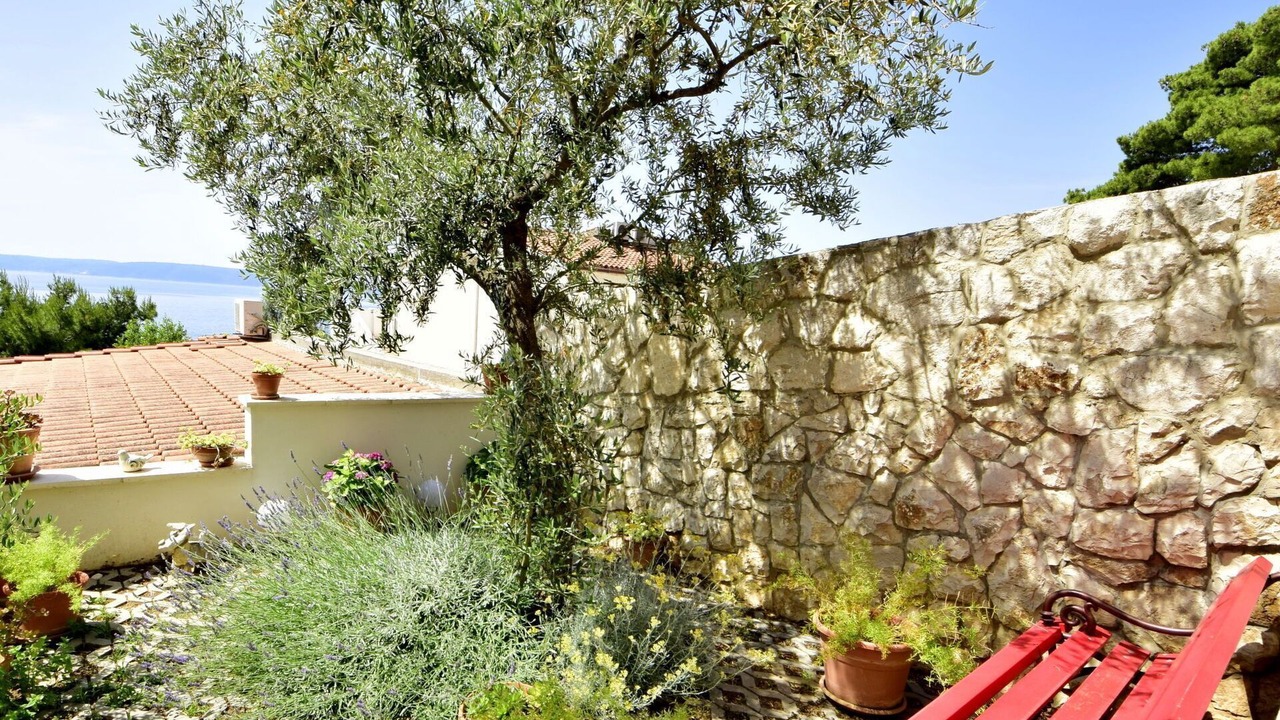 Photo of Outdoor in Okrug Gornji