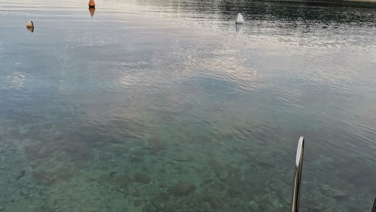 Photo of Others in Cove Murtar