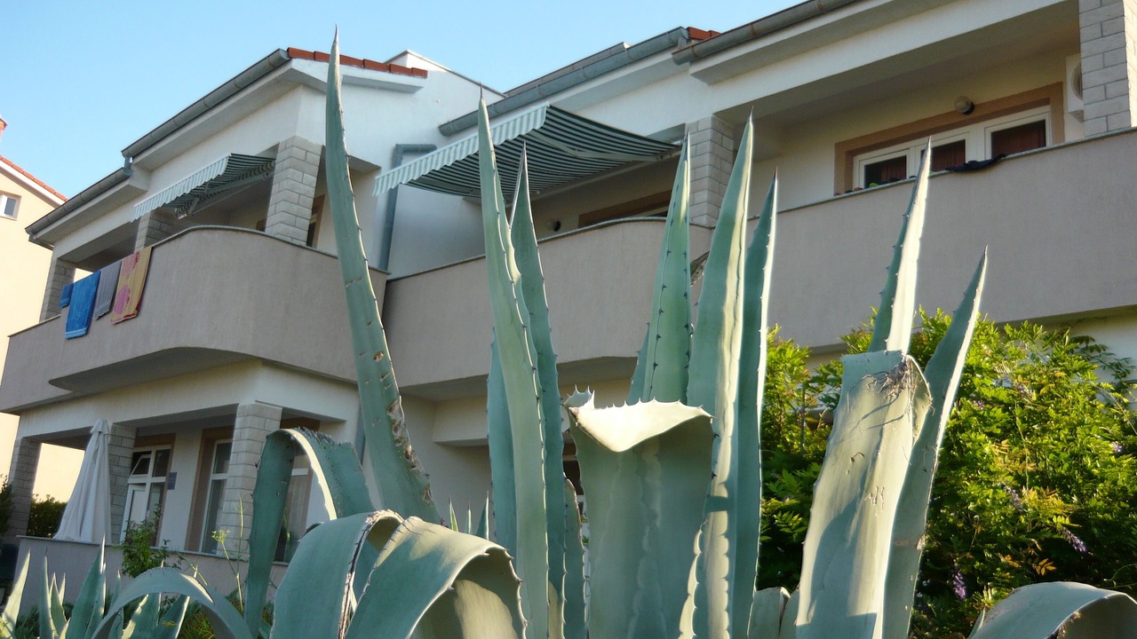 Photo of Outdoor in Barbat na Rabu