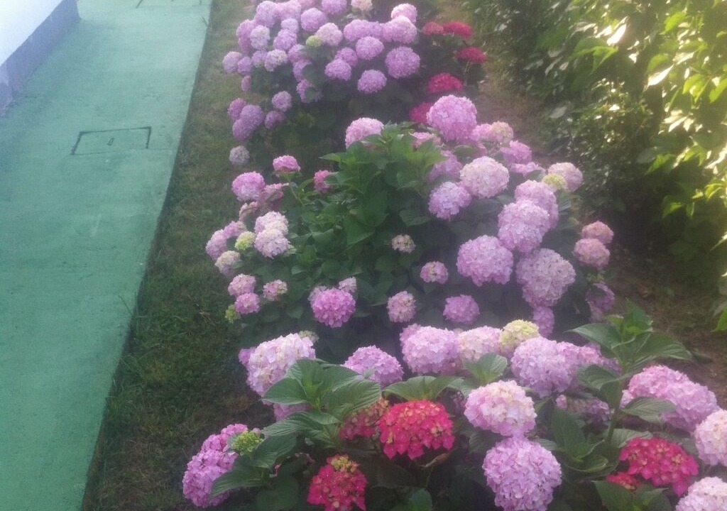 Photo of Outdoor in Lopar