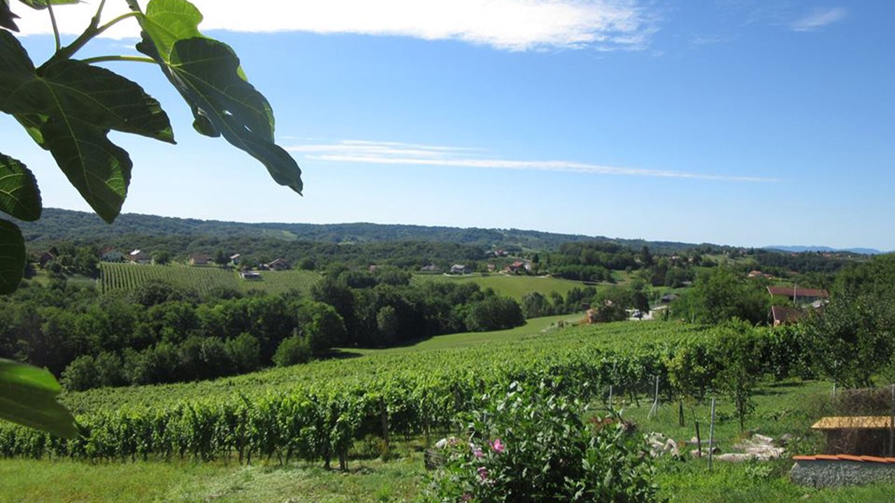Photo of Outdoor in Grabrovnik