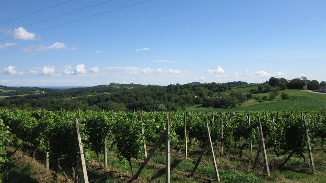Photo of Outdoor in Grabrovnik