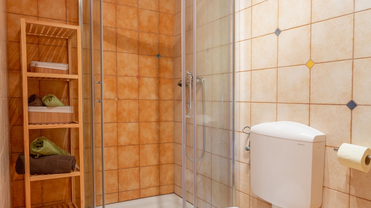 Photo of Bathroom in Medulin