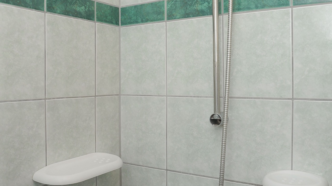 Photo of Bathroom in Caska
