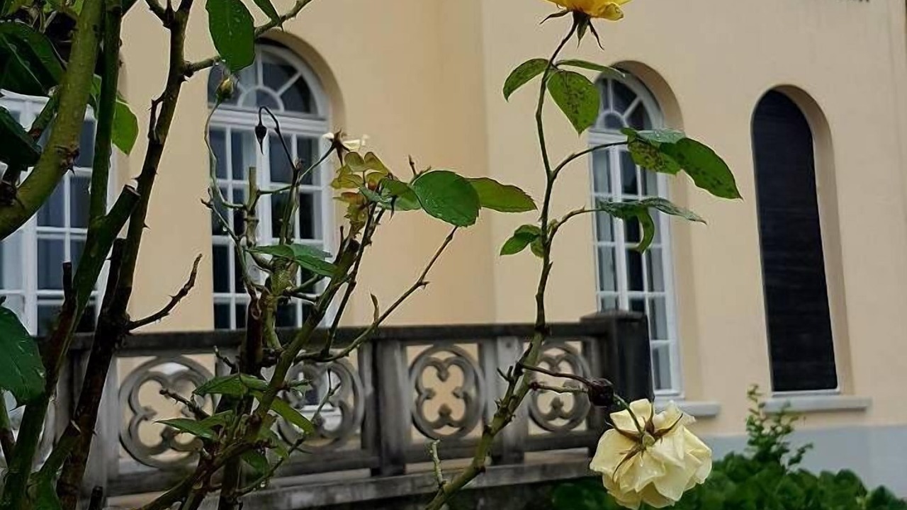 Photo of Others in Bled