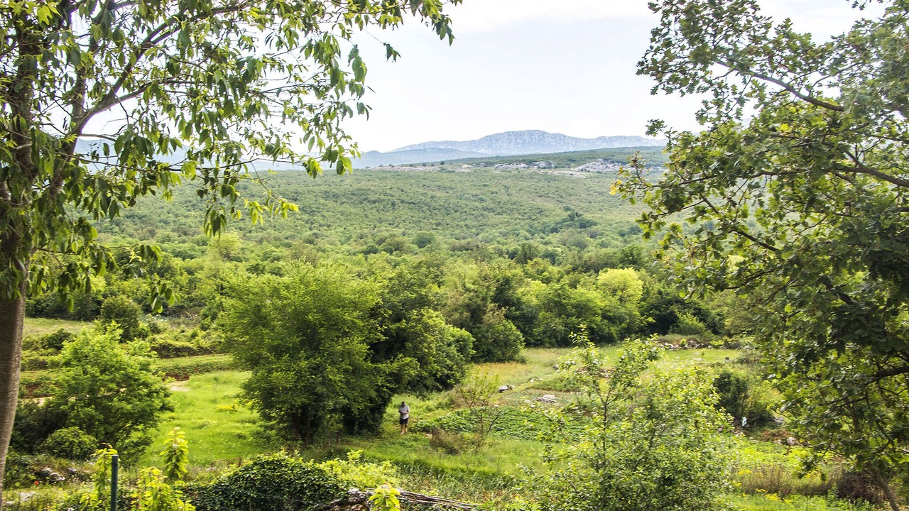 Photo of Outdoor in Srijane
