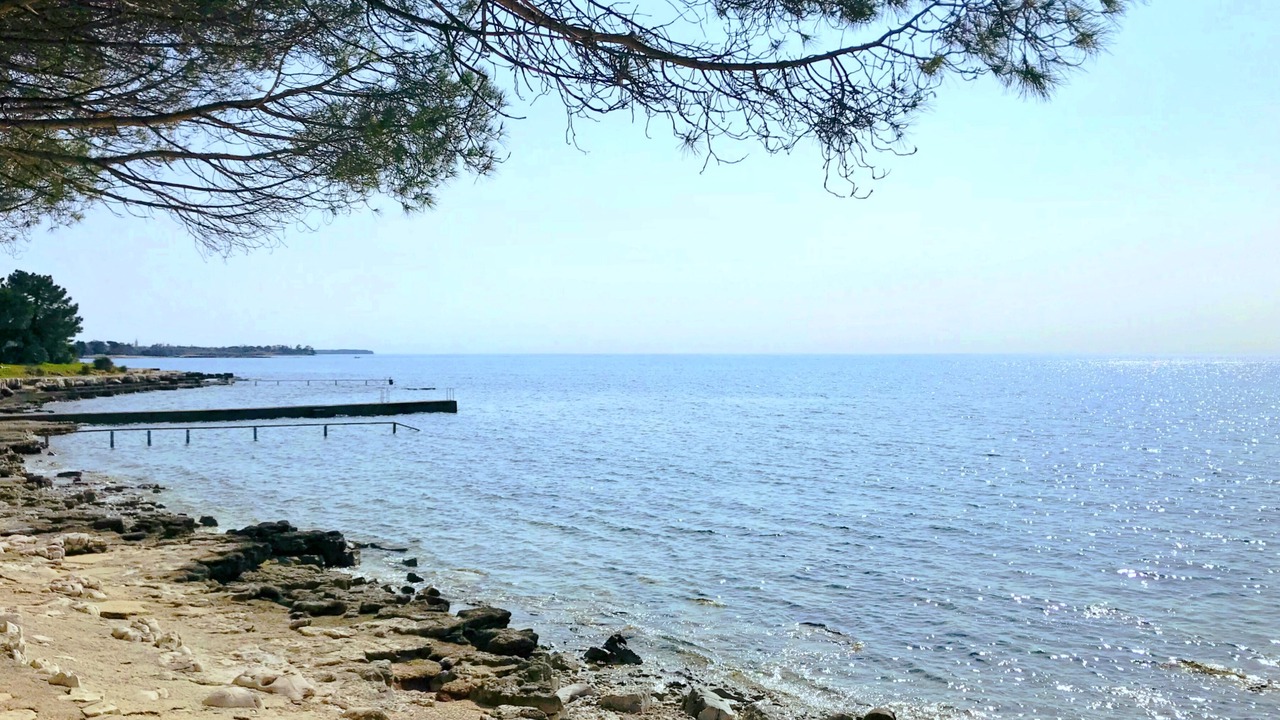 Photo of Others in Đuba