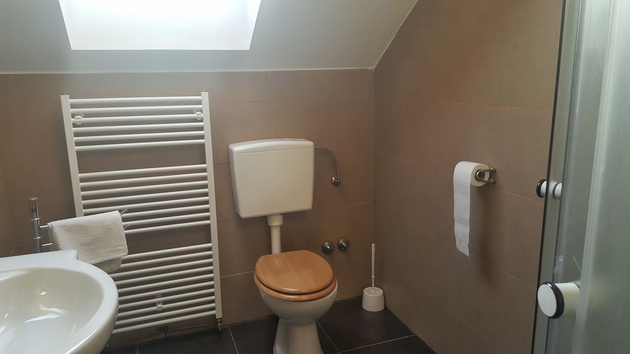 Photo of Bathroom in Mreznica