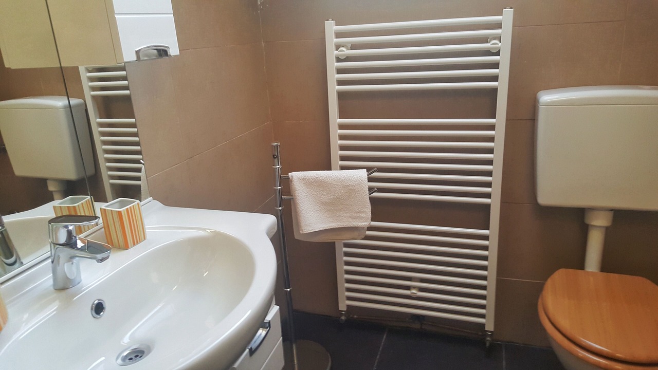 Photo of Bathroom in Mreznica