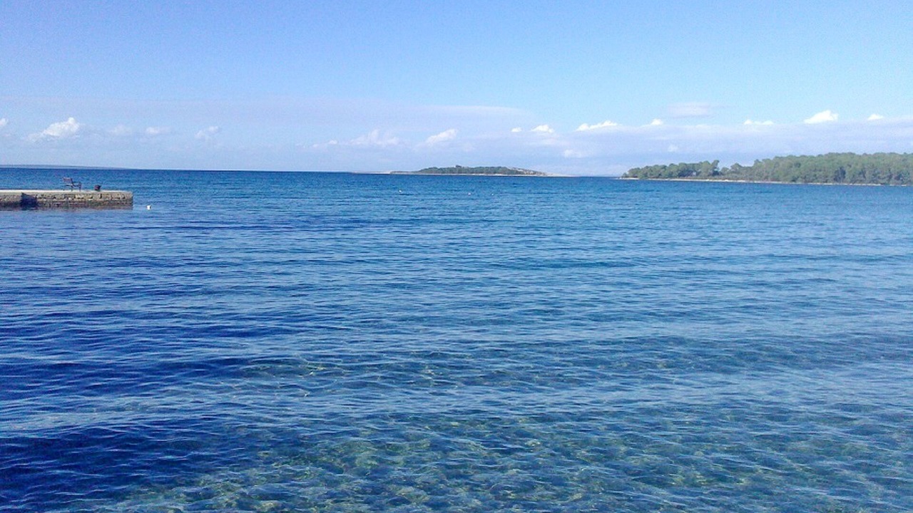 Photo of Others in Molat