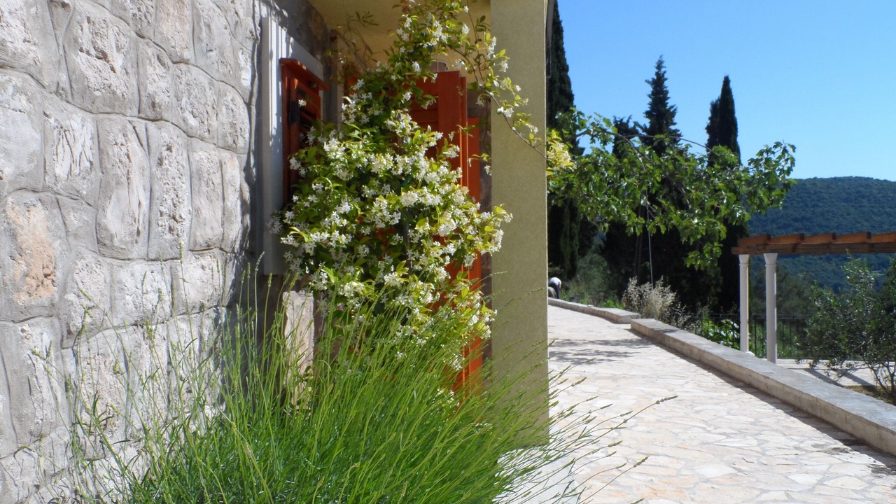Photo of Outdoor in Broce
